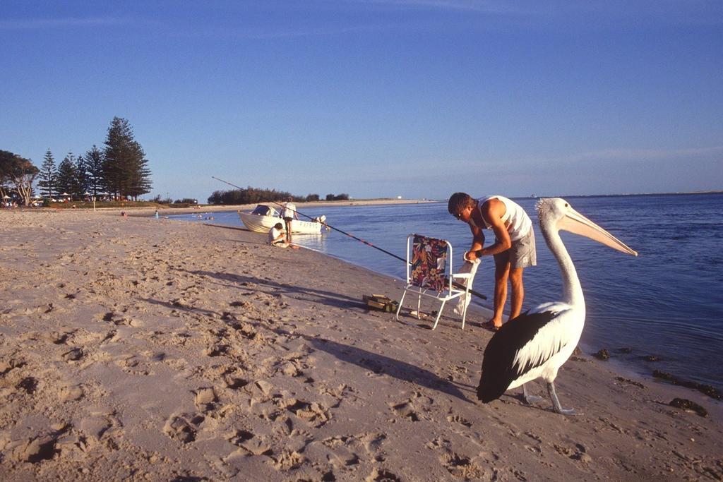 Waterview Resort Caloundra Extérieur photo